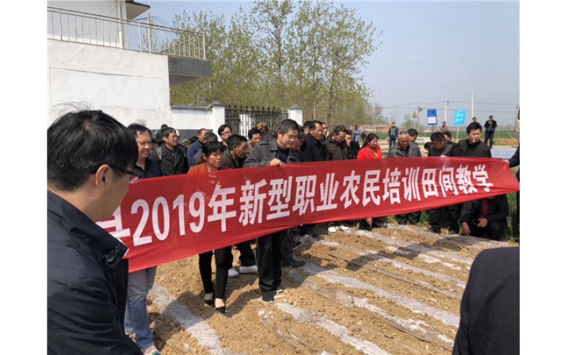 山東臨沭東泰機械助力江蘇省泗洪縣2019年花生產(chǎn)業(yè)發(fā)展！